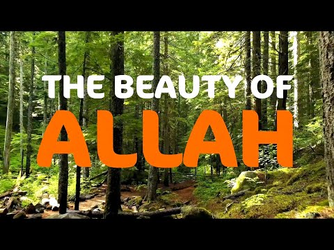 THE BEAUTY OF ALLAH - ML SHARIEF ADAM RA