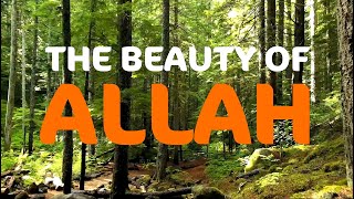 The Beauty Of Allah - Ml Sharief Adam Ra
