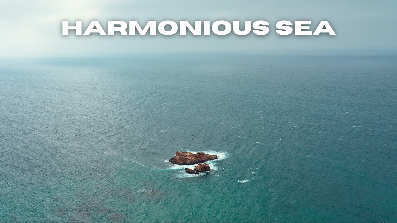Harmonious Sea  [EzMusic Release] - Top Music For Productivity
