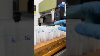 🌱 How do scientists measure nitrogen in soil