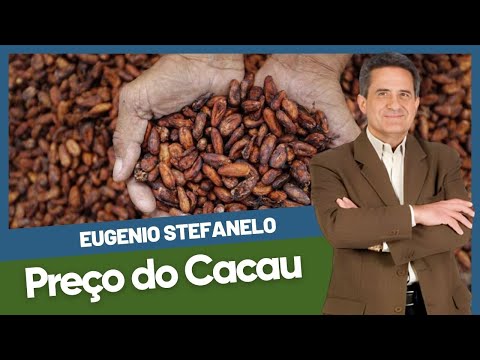 Eugenio Stefanello comenta: Preço do Cacau
