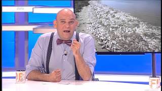 Ofú | Programa 7