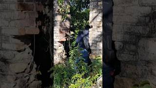 Unusual Historic Ruin Found In St Thomas, Jamaica #elitejamaica #history #stthomasjamaica
