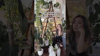 When You Have Too Many Plants #shorts #houseplants #humor #plantcare #indoorplants #tips