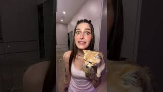 El gatito prueba el chocolate de Dubai