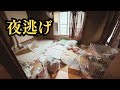 【夜逃げ】そこにはたくさんの動物達が残されていた。強制執行までのタイムリミットが迫る中、猫19頭・犬1頭をレスキュー!