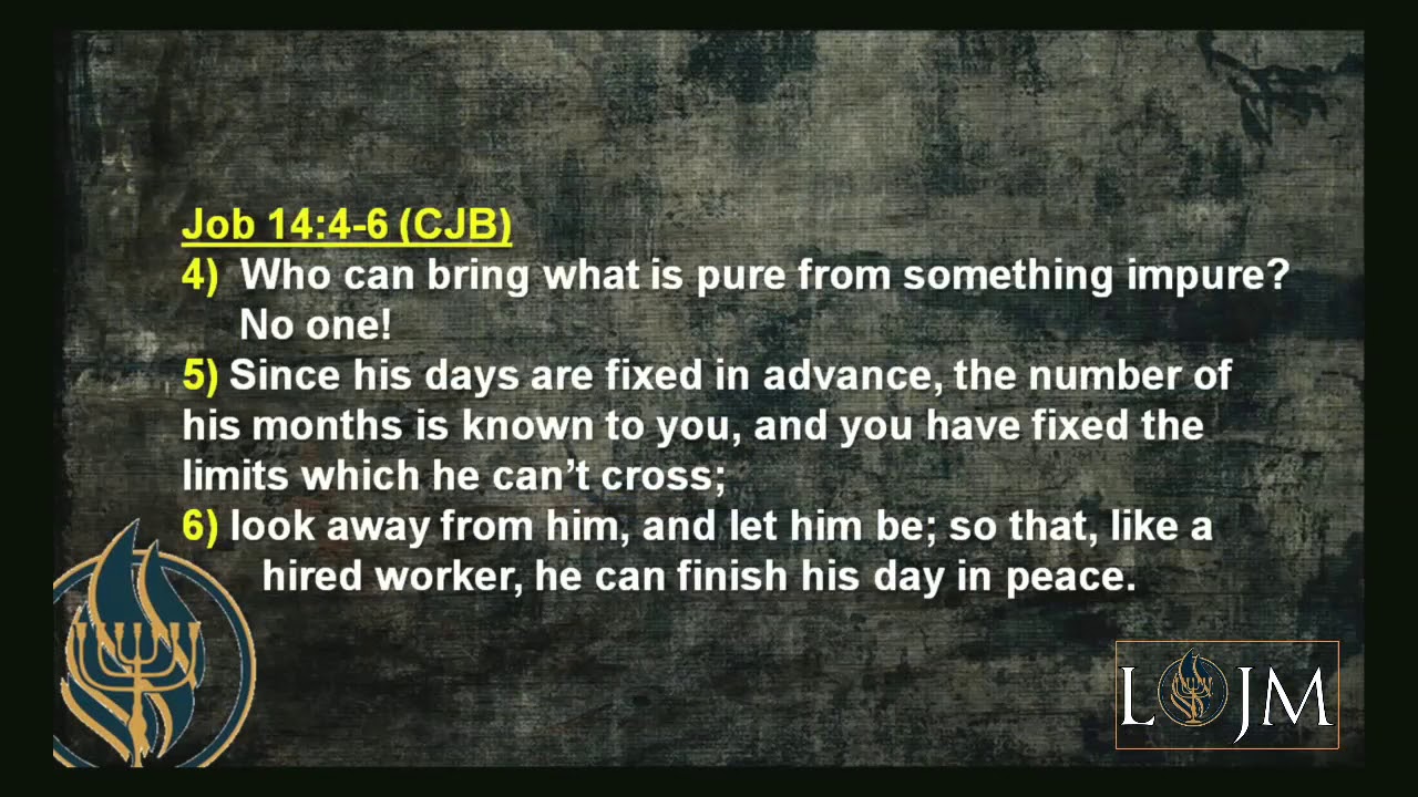 Book of Job: Lesson 15