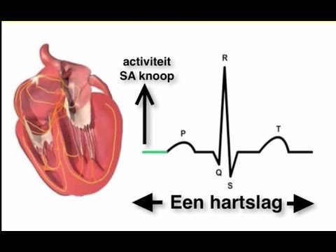 Video: Hartslagvariabiliteit En Cardiale Repolarisatie Na Blootstelling Aan Zinkoxide Nanodeeltjes Bij Gezonde Volwassenen