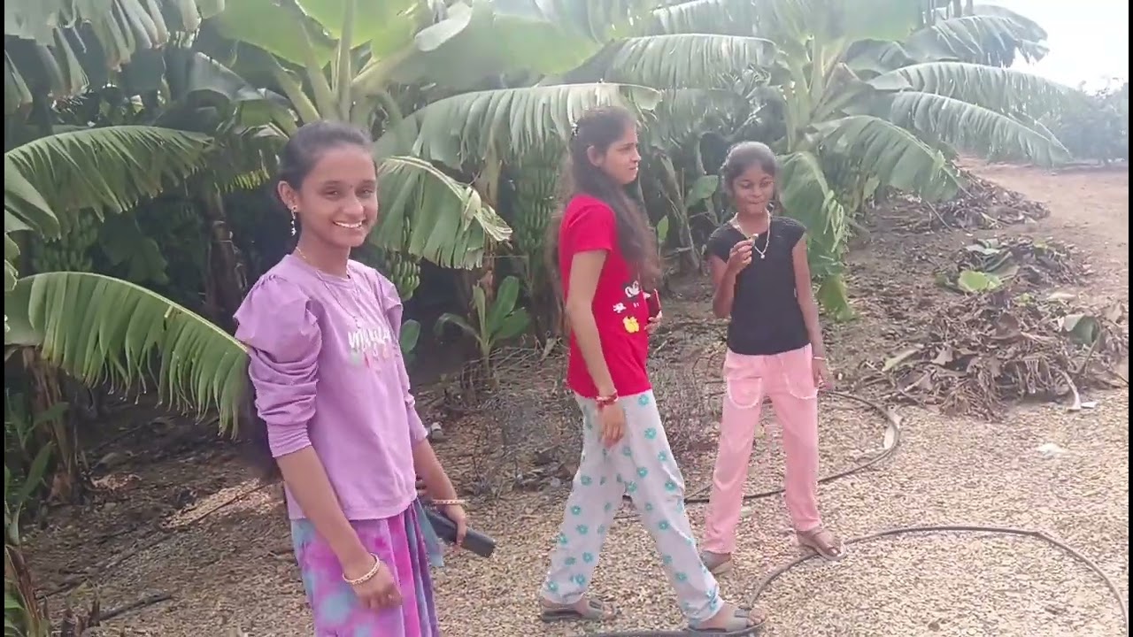 మనమే తనను పట్టించుకోము🌳🌲🌼🌹🥀