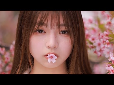 【飯島真理】愛･おぼえていますか