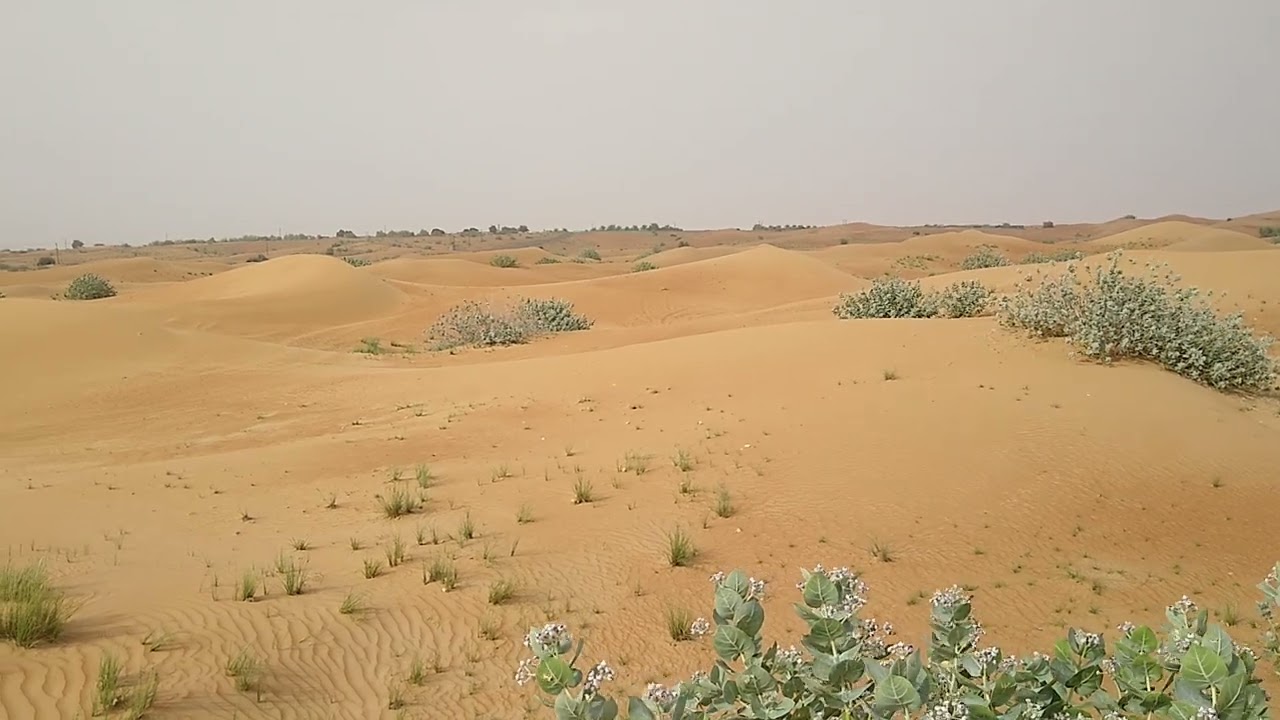 Nebkha Dunes in Sharjah, UAE