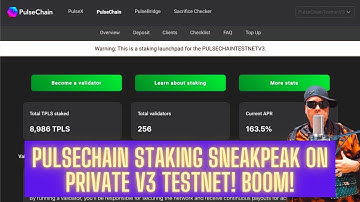 Pulsechain Staking Sneakpeak On Private V3 Testnet! Boom!