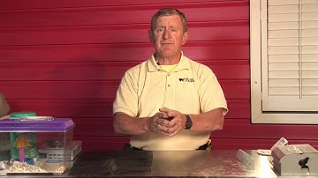 Pest Control : How to Get Rid of Bats