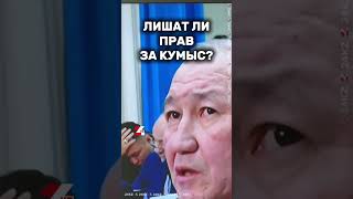 Лишат ли прав за кумыс #24kz #новости #хабар24 #казахстан