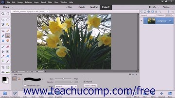 Photoshop Elements 15 Tutorial The Clone Stamp Tool Adobe Training