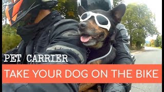 Affordable Motorcycle Pet Carrier For Dogs