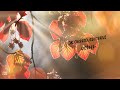 Ukrainian Music Yellow Leaved Autumn Українська музика Жовтолиста осінь 