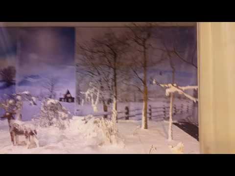Video: Penjagaan Pra-musim Sejuk Di Taman