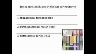 Lesson 02 Understanding The Interactive Connectome Of The Rat Hippocampal Formation.