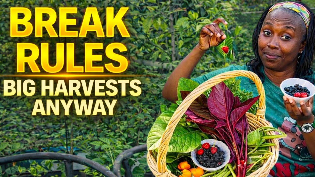 Garden Rules I’ll ALWAYS Break (And My Garden Still Thrives)
