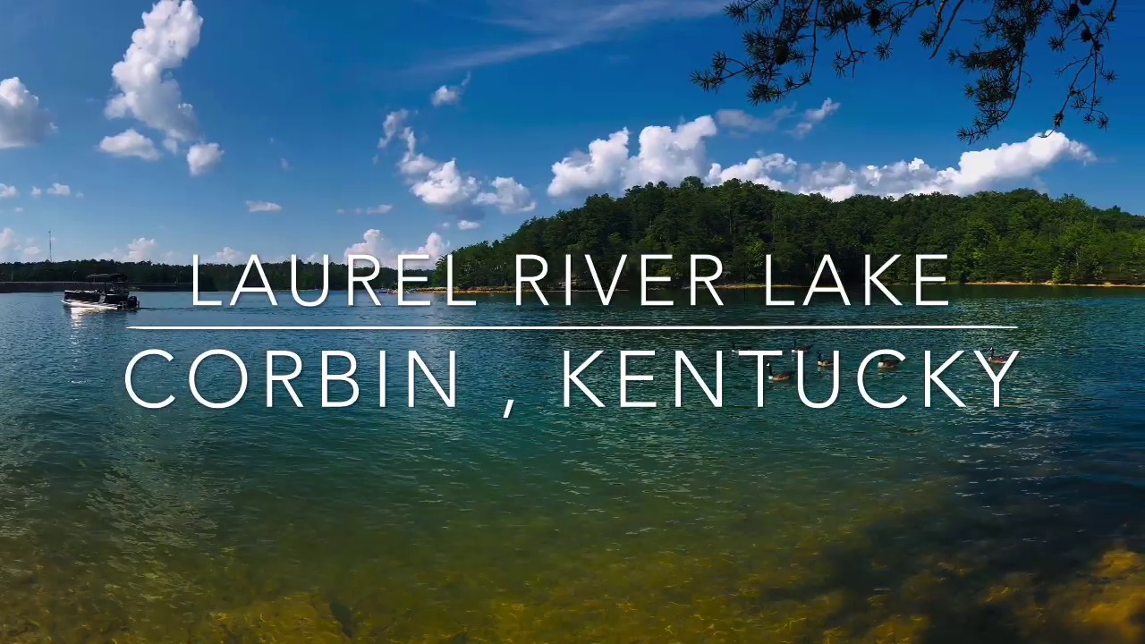 What are the things you can do in Laurel Lake