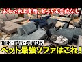 【ペット最強ソファ】撥水&times;猫爪OK&times;洗える!ペットがいる家庭に最高のソファがすごい!「ブルーキャット」