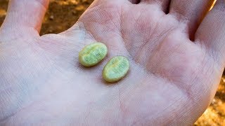 How Coffee Is Made In Myanmar | From Bean to Cup