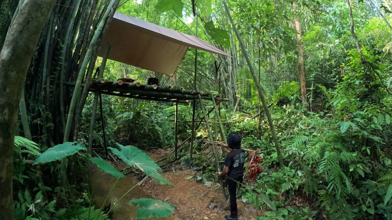 .ใช้ชีวิตในป่าดิบดงสัตว์พิษ3คืน4วัน วันที่3 หาอาหาร ผลไม้ป่า คืนนี้รู้สึกแปลกต้องเก็บบันไดขึ้นep158