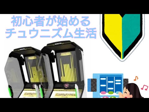 【チュウニズム】チュウニズム初心者が”Paradisus-Paradoxum”【expert】やってきた！