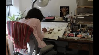 A Botanical Illustrator’s Rare Art Supply Collection