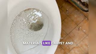 Is Sewage Backup Covered by Homeowners Insurance or Out-of-Pocket