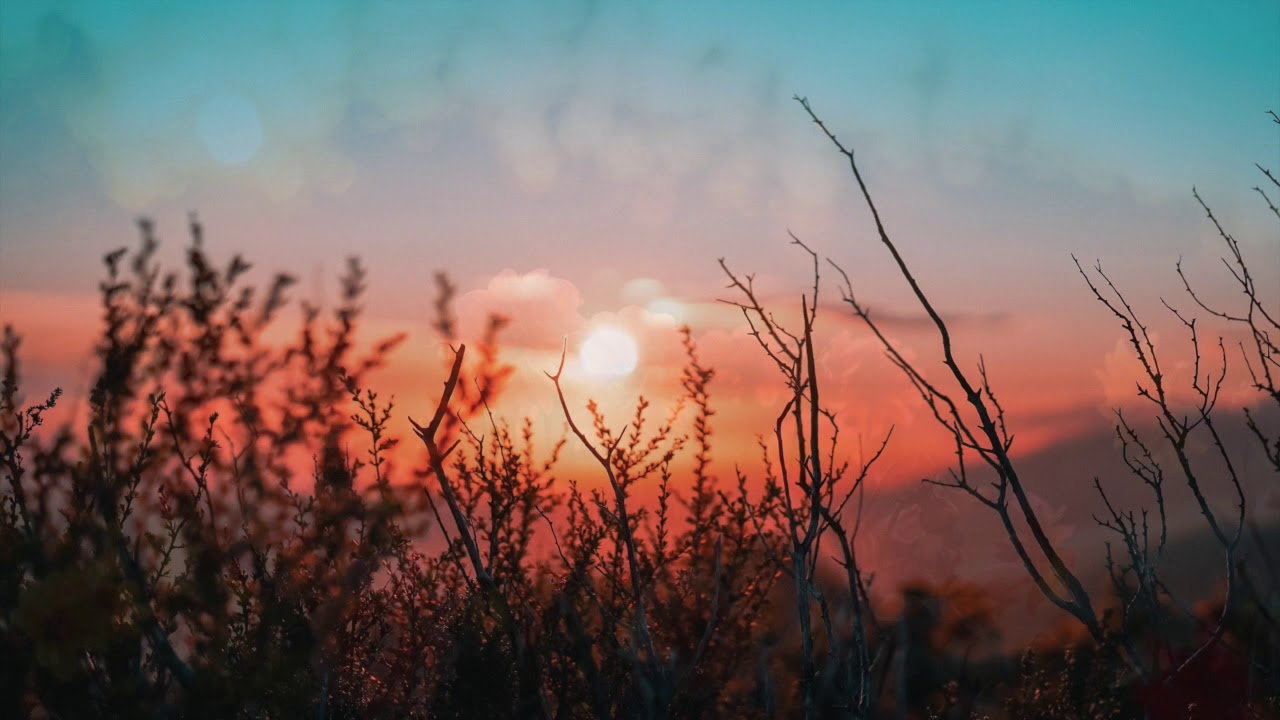 Terence McKenna Chillstep for Sleep//Study//Dream | Shamanism and Magic Mushrooms