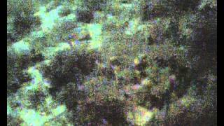 Silvertip Video- AL Cohen.AVI