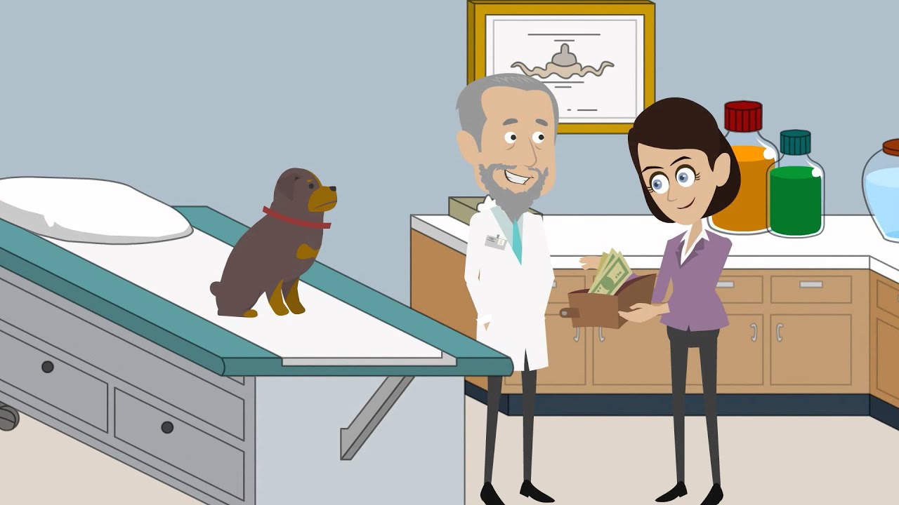 Berkeley Heights Animal Hospital Summit NJ Veterinarian YouTube