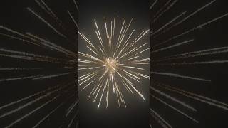 8‘Inch Delayed Crackling Willow W/Pistil Tail