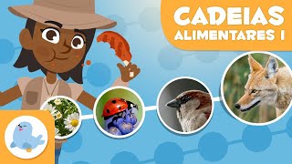 CADEIAS ALIMENTARES para crianças 🌱⬅🐝⬅🐦⬅🐺 Níveis tróficos 🌼 Episódio 1