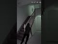 Shadow Rushes Up Stairs
