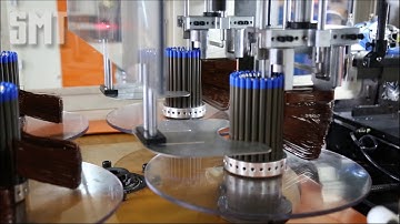 SMT 2 Winding-head AC Motor Stator Winding Machine