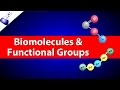 The Role of Carbon and Functional Groups in Biomolecules