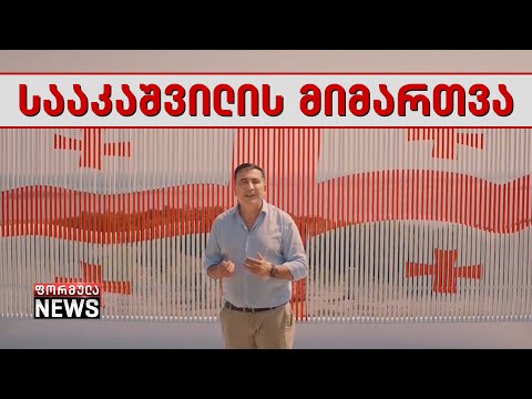მიხეილ სააკაშვილი ენმ-ისა და ძალა ერთობაშიას პრემიერობის კანდიდატად - შეფასებები