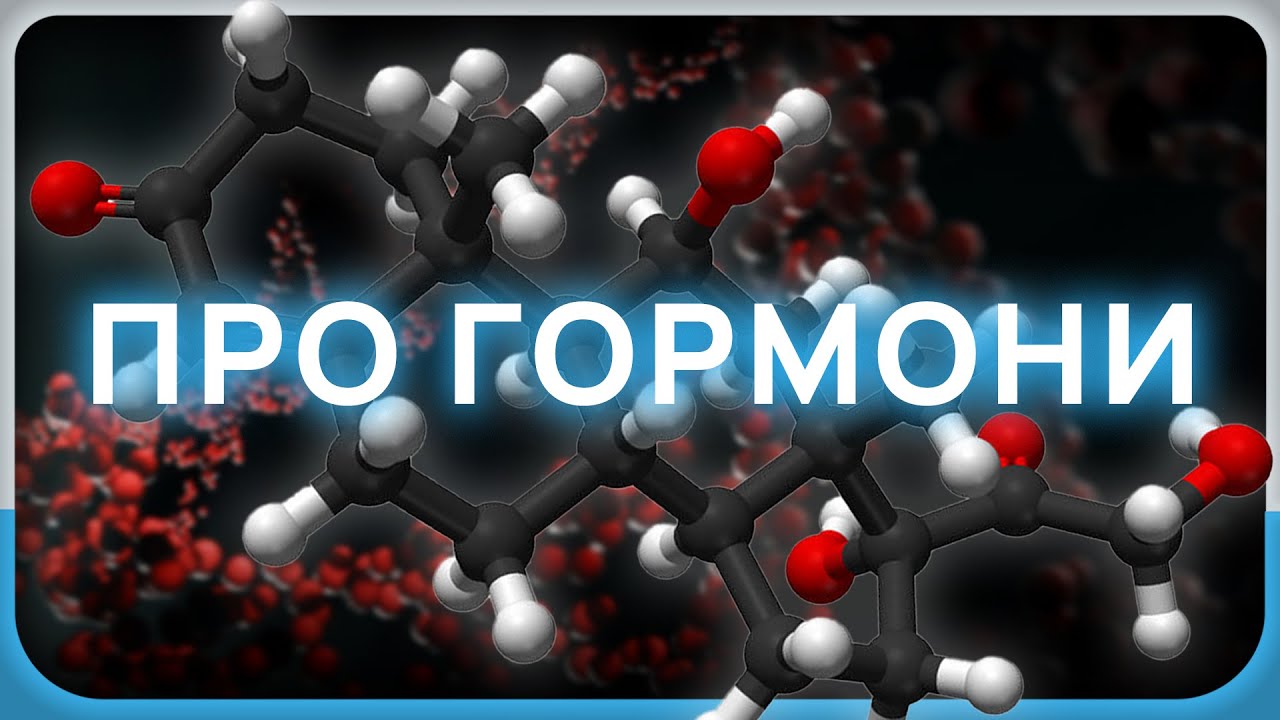 ГОРМОНИ: як працює ендокринна система та які гормони є в нашому тілі
