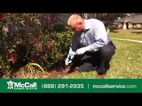 McCall Bundle Commercial - video from McCall Service