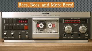 Bob's Stories #8 Bees, Bees, and More Bees!