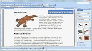 Famous Graphics Basics in MS Word 2003 Wealth