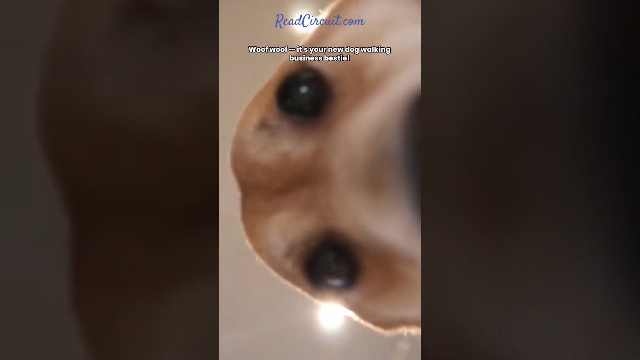 Start Your Dog Walking & Grooming Business Today! Ultimate Business Kit + Proven Marketing Tips