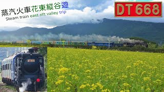 【Taiwan Railway】 Steam train east rift valley trip