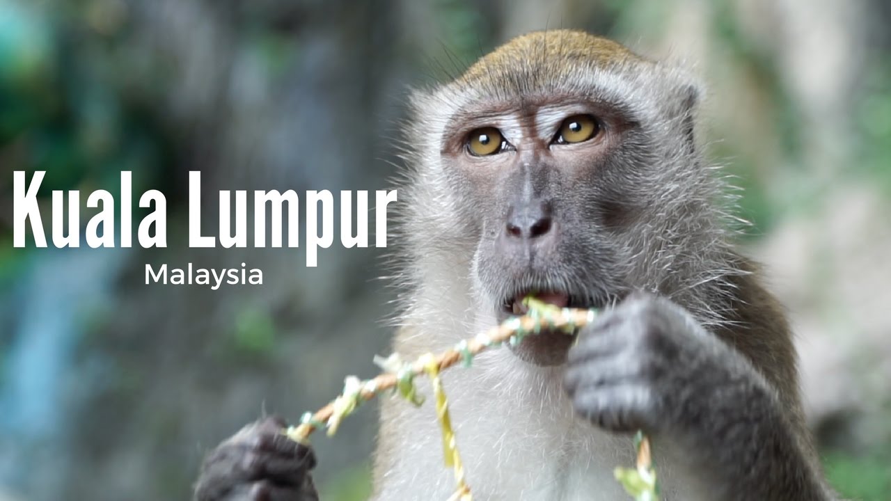 Batu Caves in Kuala Lumpur (Kuala Lumpur, Malaysia Vlog 2) | Luke Martin