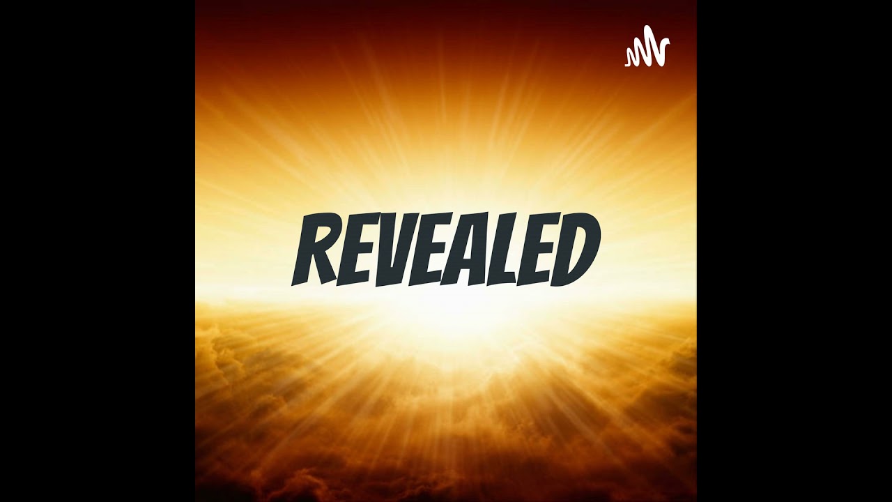 Episode 30 - Organization Spotlight: Rick's Toybox