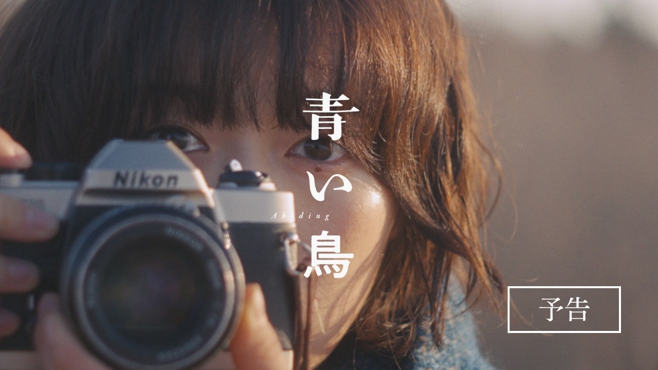 増田彩来『青い鳥』 - AKAAKA