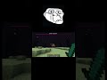 Minecraft meme